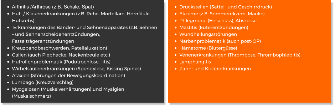 •	Arthritis /Arthrose (z.B. Schale, Spat) •	Huf- / Klauenerkrankungen (z.B. Rehe, Mortellaro, Hornfäule, Hufkrebs) •	 Erkrankungen des Bänder- und Sehnenapparates (z.B. Sehnen – und Sehnenscheidenentzündungen, Fesselträgerentzündungen •	Kreuzbandbeschwerden, Patellaluxation) •	Gallen (auch Piephacke, Nackenbeule etc.) •	Hufrollenproblematik (Podotrochlose, -itis) •	Wirbelsäulenerkrankungen (Spondylose, Kissing Spines) •	Ataxien (Störungen der Bewegungskoordination) •	Lumbago (Kreuzverschlag) •	Myogelosen (Muskelverhärtungen) und Myalgien (Muskelschmerz) •	Druckstellen (Sattel- und Geschirrdruck) •	Ekzeme (z.B. Sommerekzem, Mauke) •	Phlegmone (Einschuss), Abszesse •	Mastitis (Euterentzündungen) •	Wundheilungsstörungen •	Narbenproblematik (auch post-OP) •	Hämatome (Blutergüsse) •	Venenerkrankungen (Thrombose, Thrombophlebitis) •	Lymphangitis •	Zahn- und Kiefererkrankungen